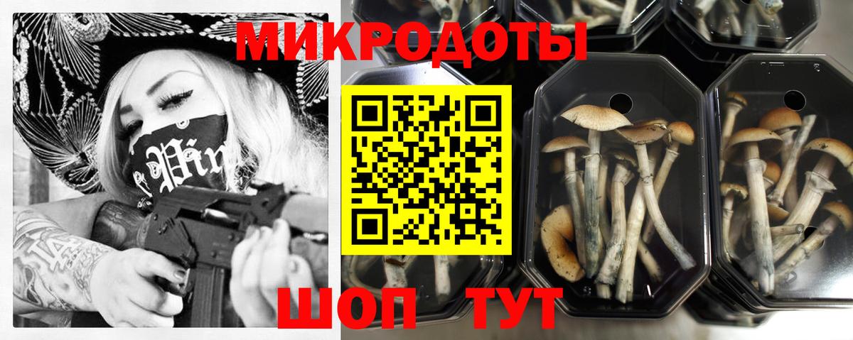 Галлюциногенные грибы Psilocybine cubensis  Вход с VPN  наркота  Курчалой 